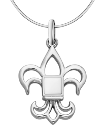 Picture of Fleur-de-lis